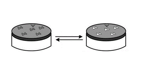 如何理解电化学气体传感器的优缺点？