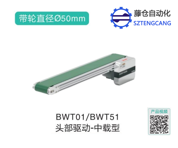 中载型BWT01/BWT51头部驱动链式输送机