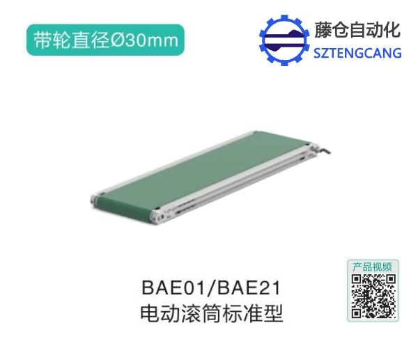 标准型电动滚筒BAE01/BAE21设备输送机
