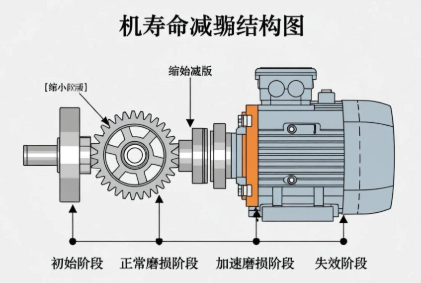 螺旋锥齿轮减速机寿命衰减过快原因有哪些？(图1)